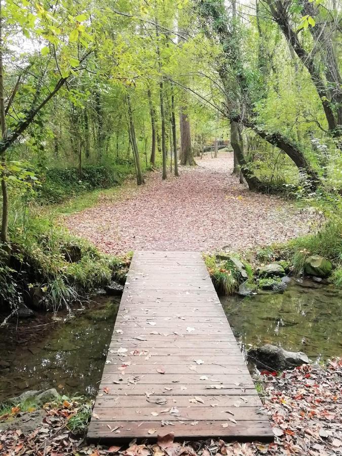 Apartament Natura Amb Calma Olot Eksteriør billede